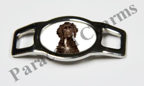 American Water Spaniel - Design #001