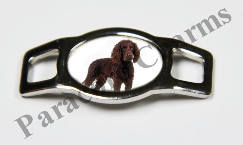 American Water Spaniel - Design #003