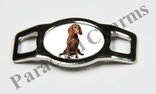 American Water Spaniel - Design #004