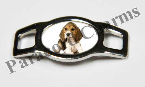 Beagle - Design #001