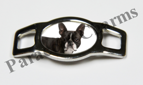 Boston Terrier - Design #004