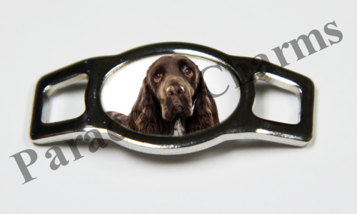 Field Spaniel