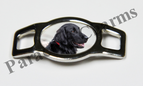 Flat-Coated Retriever - Design #001