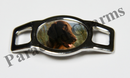 Flat-Coated Retriever - Design #002