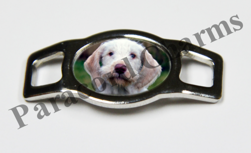 Spinone Italiano - Design #005