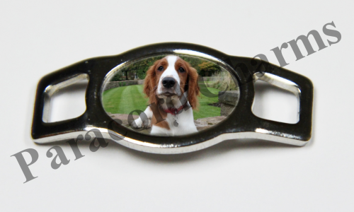 Welsh Springer Spaniel - Design #001