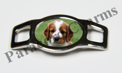 Welsh Springer Spaniel - Design #002