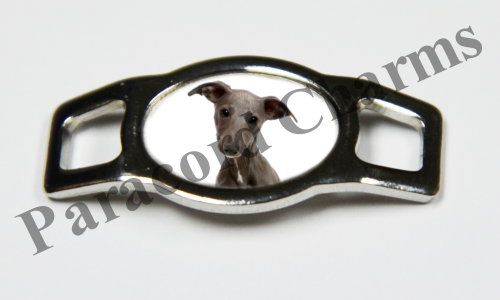 Whippet - Design #001